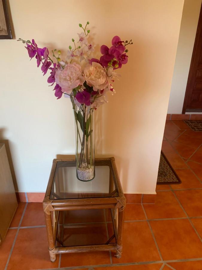 Casa Fraile San Miguel Apartment San Miguel de Allende Exterior photo